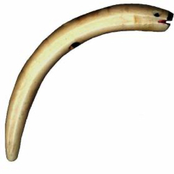 7-1 Specific Types - Sashi - Ivory (4")